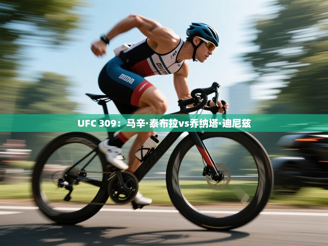 UFC 309:马辛·泰布拉vs乔纳塔·迪尼兹 第2张