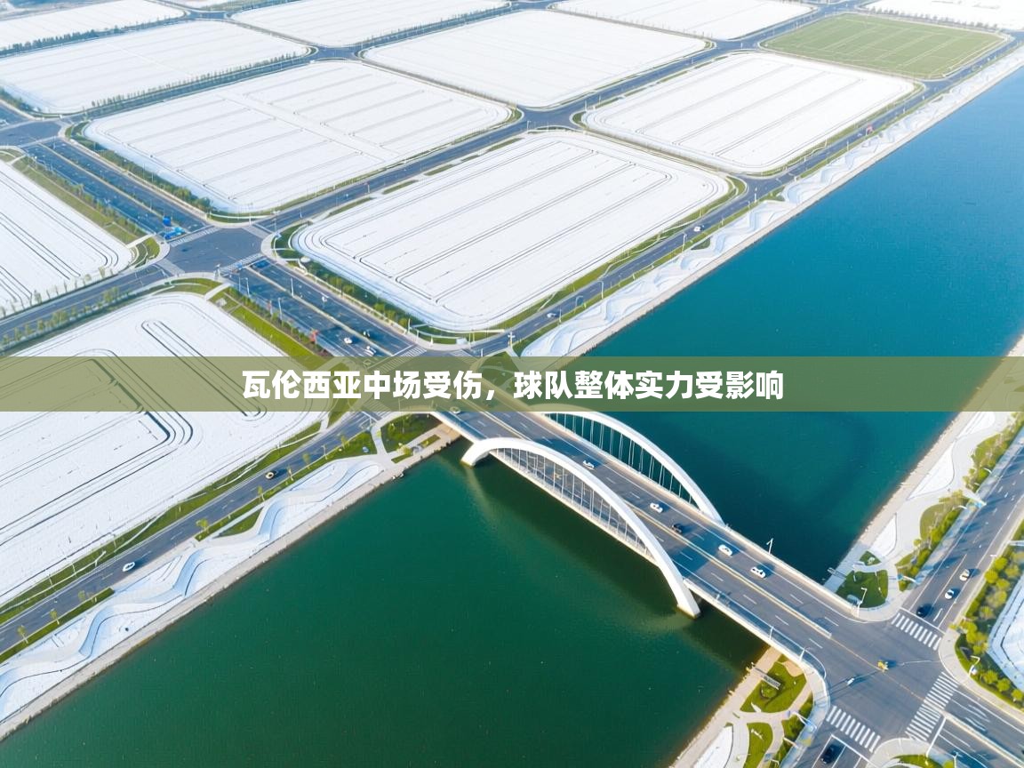 瓦伦西亚中场受伤，球队整体实力受影响  第1张