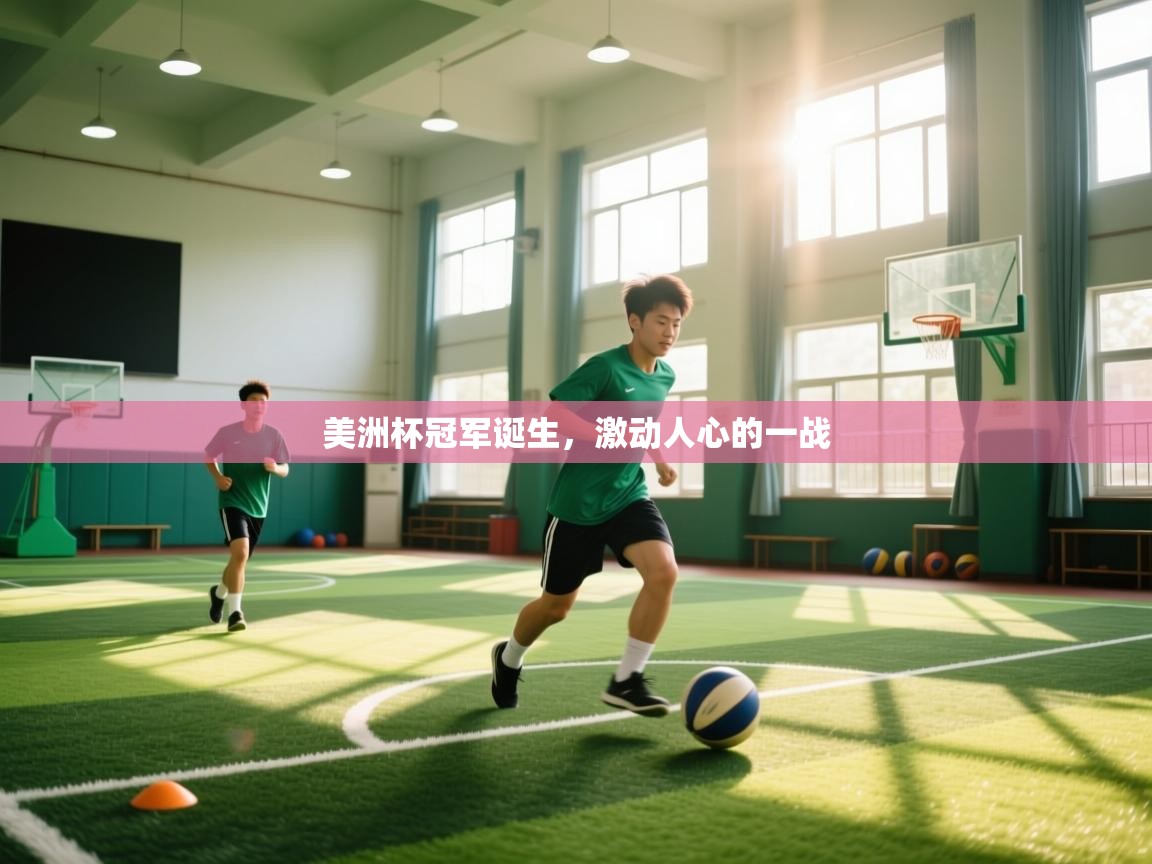 美洲杯冠军诞生，激动人心的一战  第1张