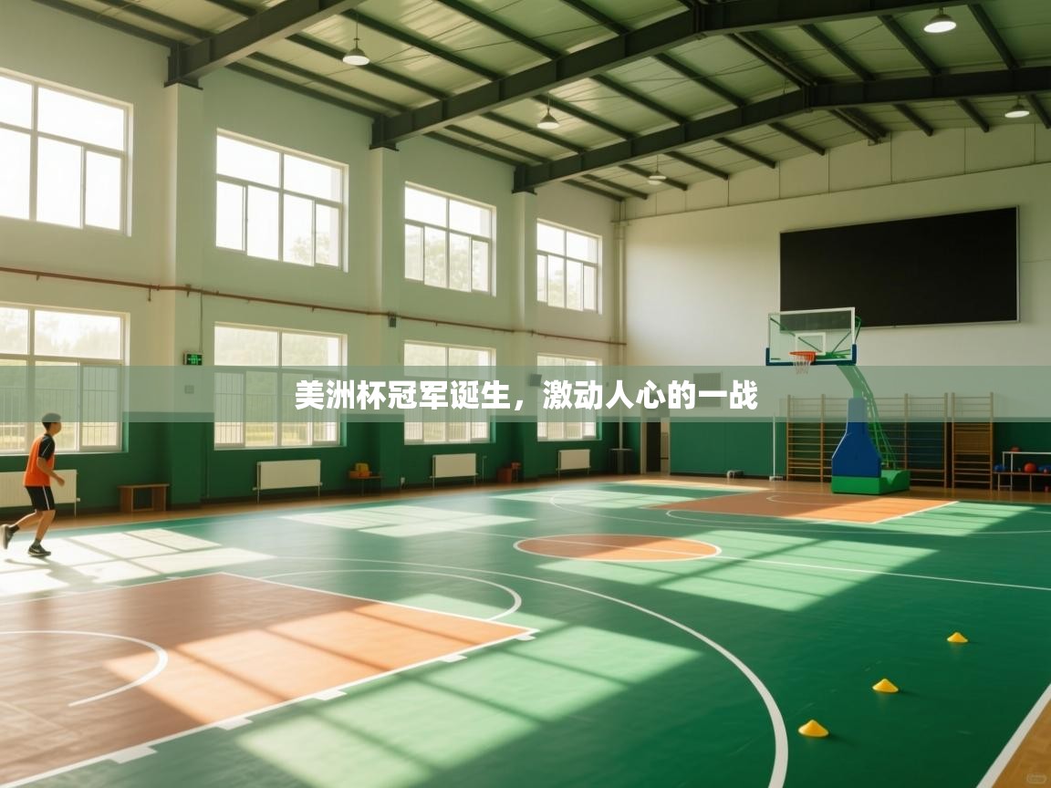 美洲杯冠军诞生，激动人心的一战  第2张