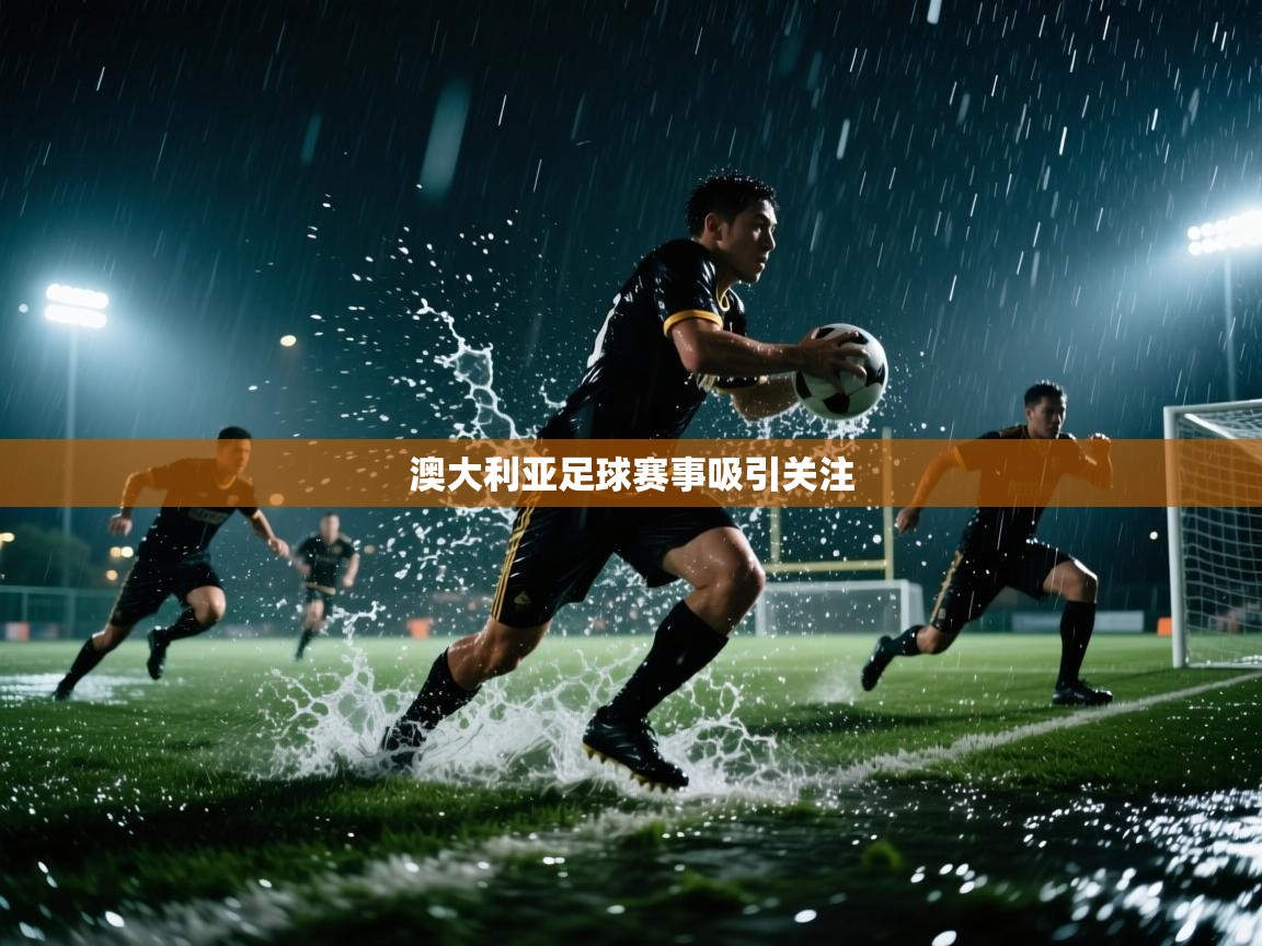 澳大利亚足球赛事吸引关注 第1张